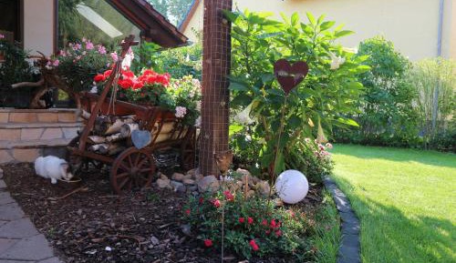 One-Bedroom Apartment with Shower
