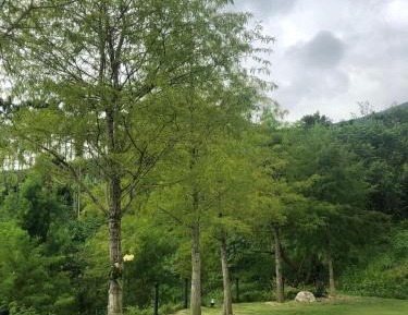 Queen Room with Balcony