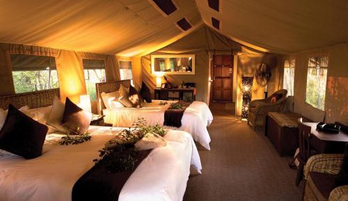 Family Safari Tent (FS8)