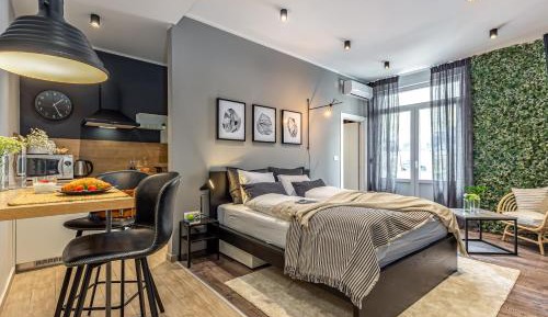 Studio Apartment