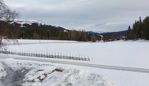 Double or Twin Room with Shared Bathroom