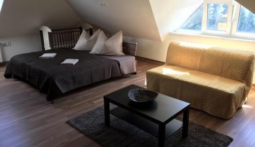 Comfort Triple Room with Shower