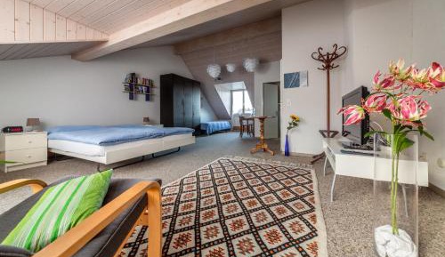 Large Double Room with Private Bathroom