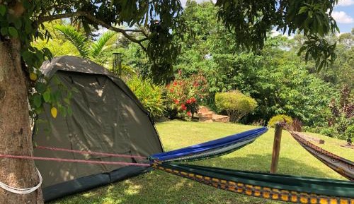 Tent