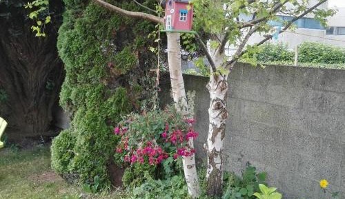 Deluxe Double Room with Shower