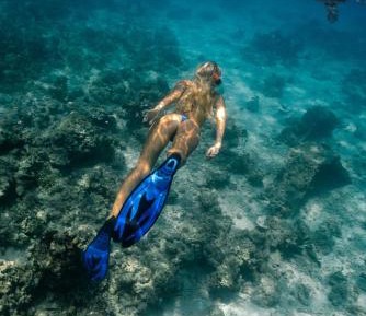 Jungle Lanai Cottage with Free Snorkeling at House Reef 