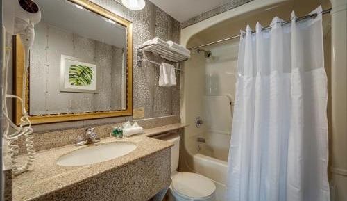 Standard room with 1 king bed