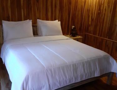 Queen Room with Garden View