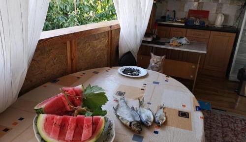 Apartment with Terrace