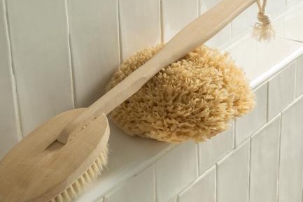 Garden Shower Guestroom