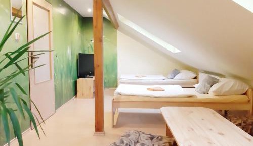 Triple Room with Shared Bathroom