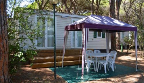 Mobile Home