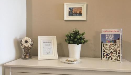 One-Bedroom Apartment (Ana)