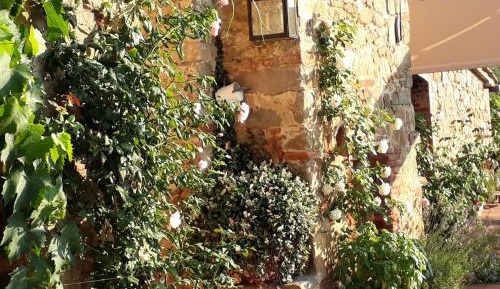 Superior Suite with pool view