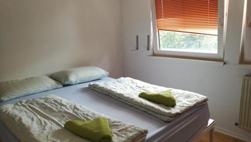 Double Room with Shared Bathroom
