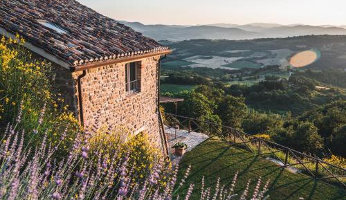 Quadruple Room with Terrace