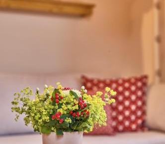 Apartment with Garden View