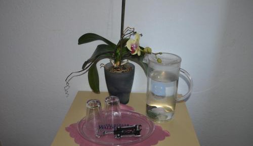 Small Family Room (4 Adults)