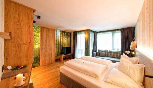 Superior Deluxe Double or Twin Room 