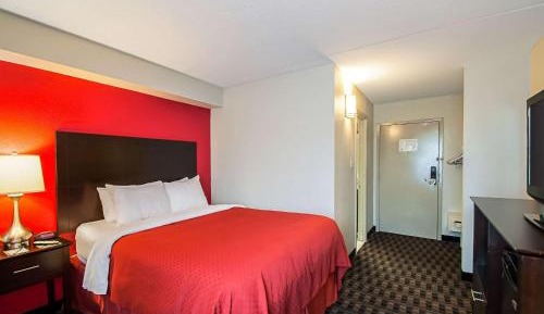 Queen Room - Non-Smoking/Pet Friendly