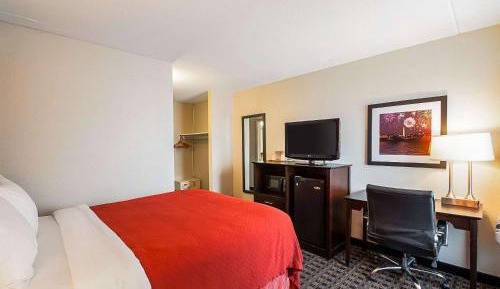 Standard King Room - Non-Smoking 