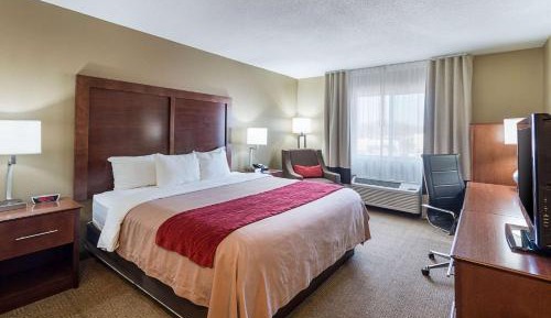 Standard 1 King bed Non Smoking