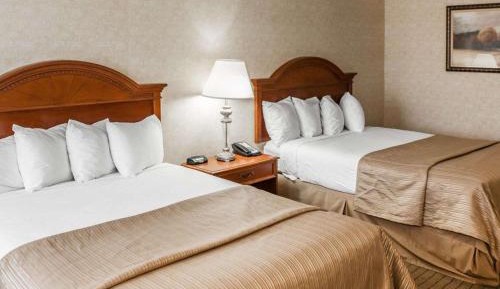 Queen Room with Two Queen Beds - Non-Smoking