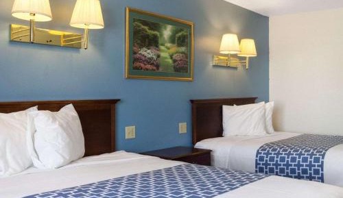 Standard Double Room with Two Double Beds - Non Smoking