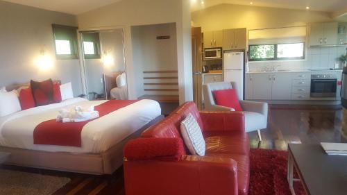 Studio Cottage - King Parrot