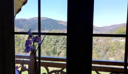 Double Room with Mountain View