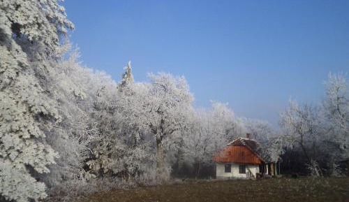 One-Bedroom Holiday Home