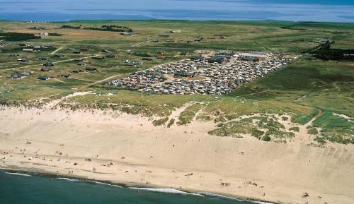 Empty lot for your Tent