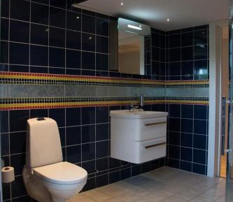 Apartment with Sauna