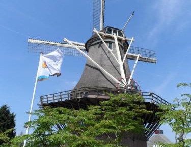 Quadruple Room with Terrace