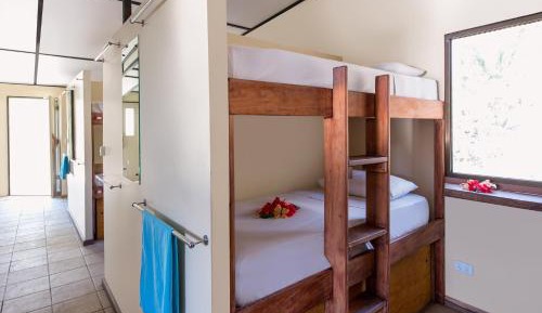 Paradise Dormitory 