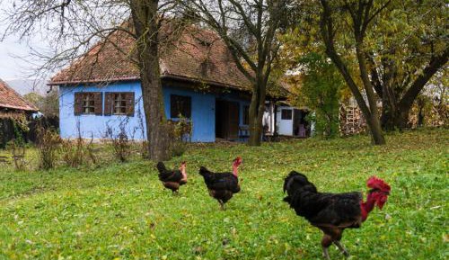 Double or Twin Room with Bathroom