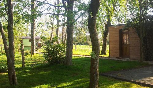 Studio with Garden View