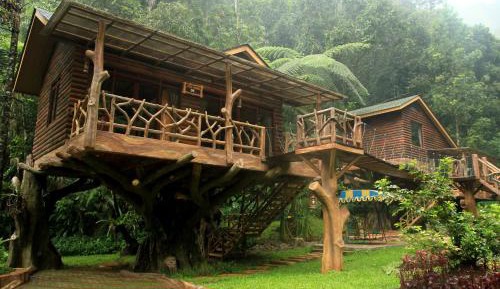 Tree House Two-Bedroom