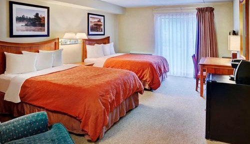 Standard  Double Room