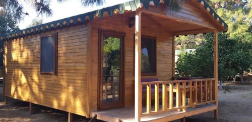 Bungalow - Beach Front