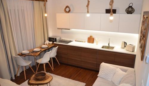 Apartment with Mountain View