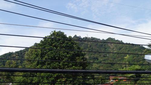 Apartment with Mountain View