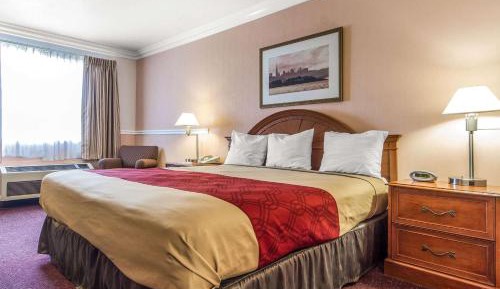 Standard Queen Room - Non Smoking