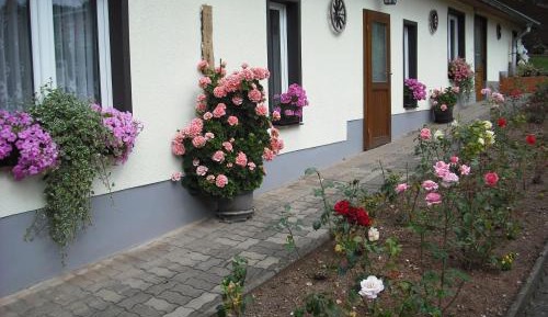 Standard Double Room (2 Adults)