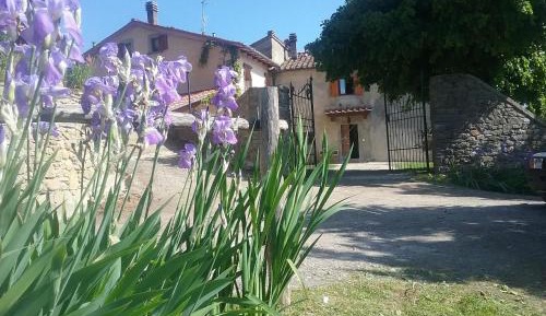 Two-Bedroom Apartment (4 Adults)