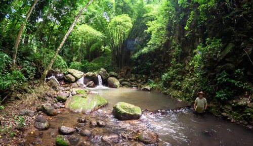 Studio with Garden View