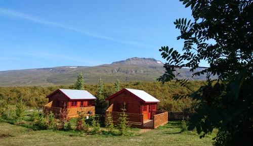 One-Bedroom Bungalow with Private Bathroom