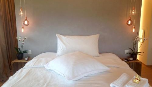 Deluxe One-Bedroom Apartment with Terrace