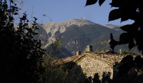 Double Room with Mountain View
