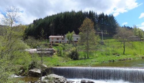Two-Bedroom Cottage (5 Adults)